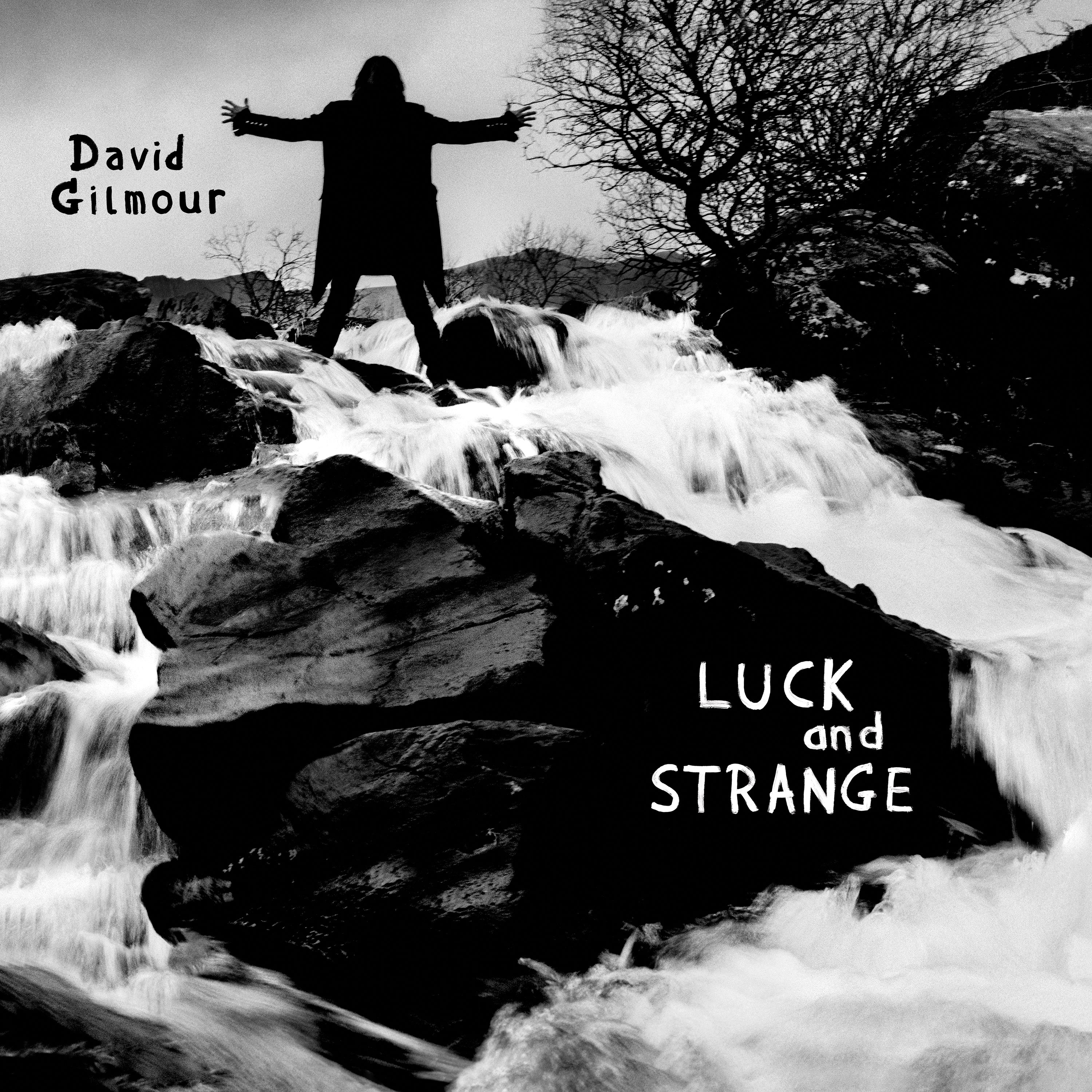 Image of Artwork for David Gilmour's Luck and Strange (CD)